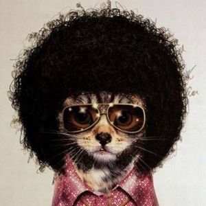 Meet your Posher, Tim